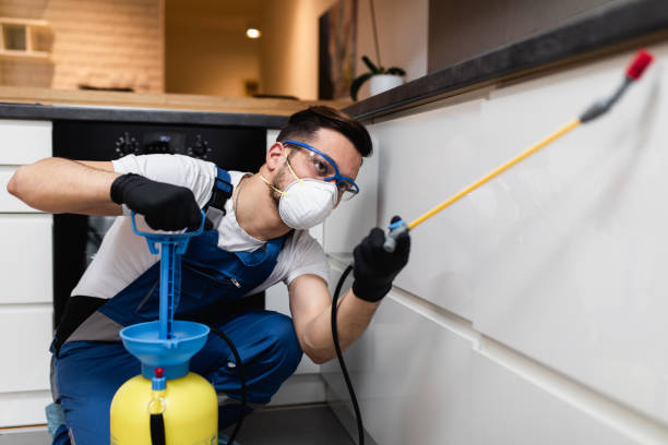 Best Best Pest Control Near Me  in Norwich, NY