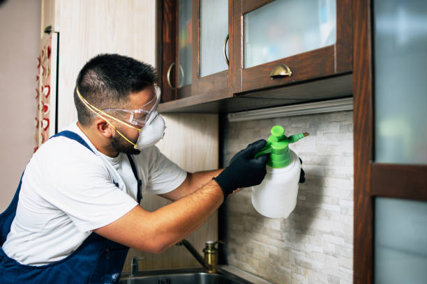 Best Pest Prevention Services  in Norwich, NY