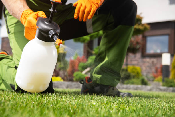 Best Wasp Removal Services  in Norwich, NY